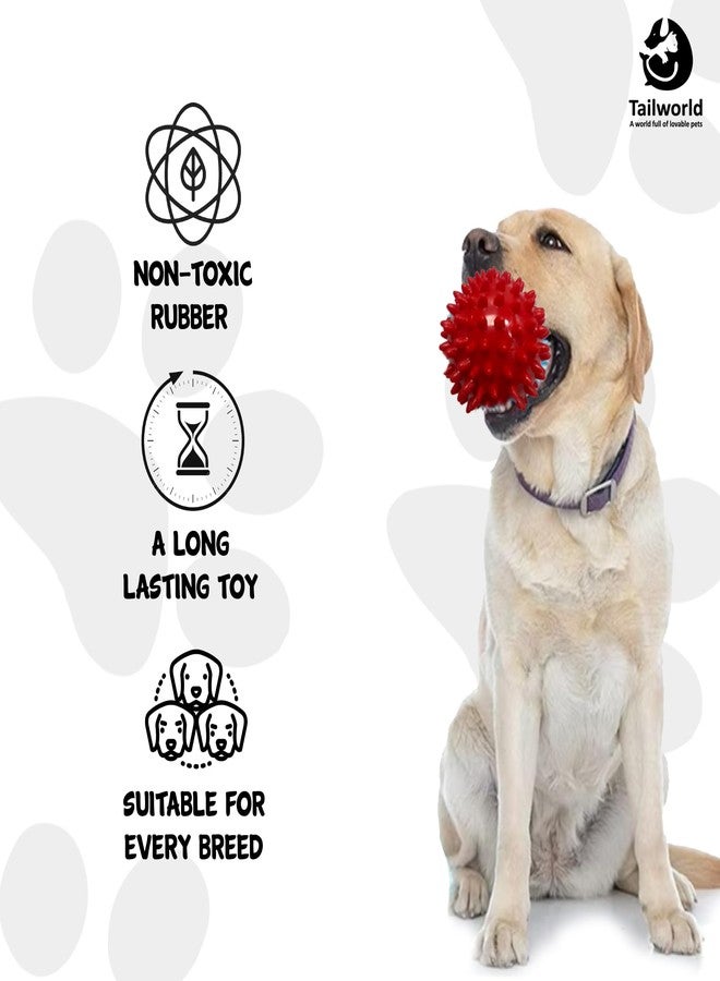 Tailworld Dog Spike Ball| Made with Thermoplastic Rubber| Suitable for Small to Medium Dogs & Puppies| Chewing, Teething, & Training Bouncy Ball Toy| Safe for Dogs| Highly Durable - Image 3