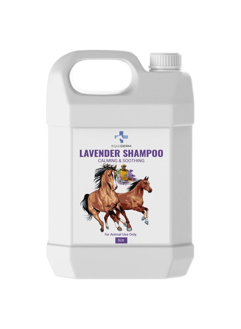 شامبو اللافندر للخيول، 5 لتر، تركيبة مهدئة ومنظفة لمعطف صحي ولامع