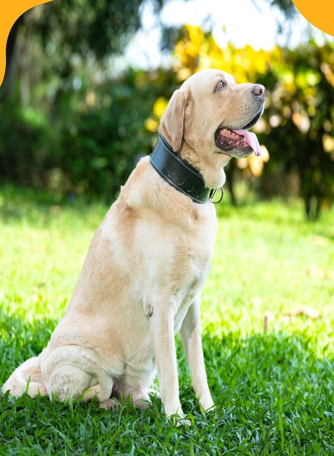 ADIL'S Tooling Half Moon Cut Tooled Dog Collar 2.25Inch Width Suitable For Medium&Large Dogs,Hand Tooled Leather Dog Collar With Sturdy Hardware&Classic Design,Sizes: Xl,Black - Image 4