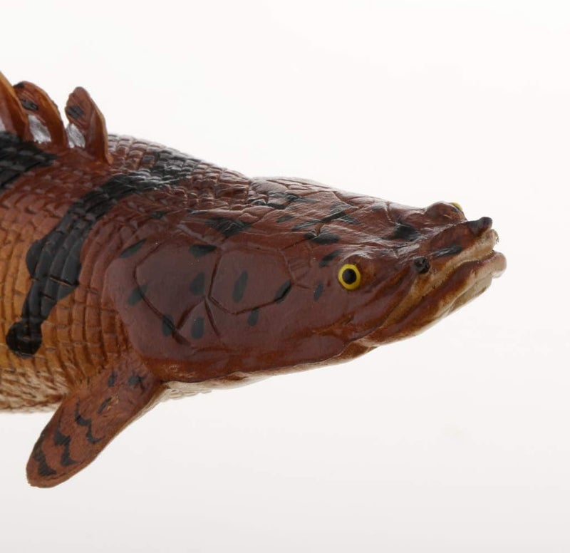 كلاراكو مجسمات حيوانات بحرية ثابتة واقعية، شخصيات مخلوقات بحرية نابضة بالحياة، ألعاب تعليمية للأطفال - سمكة ديناصور مرقطة - Image 5