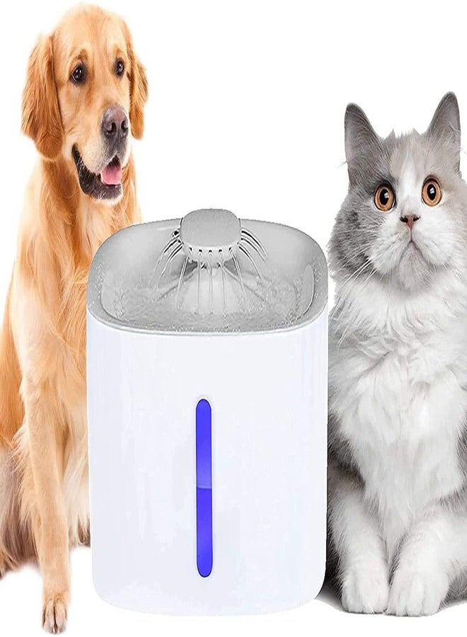 THE DDS STORE Cat Water Fountain, Pet Fountain Water Filter for Cat Dog Water Drinking, 3L Automatic Pet Water Dispenser Healthy & Hygienic Drinking Bowl Super Quiet for Cats, Dogs, Multiple Pets - Image 1