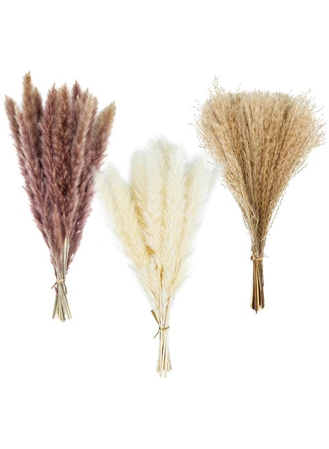 60 Pcs Natural Dried Pampas Grass for Flower Arrangements Home Decor