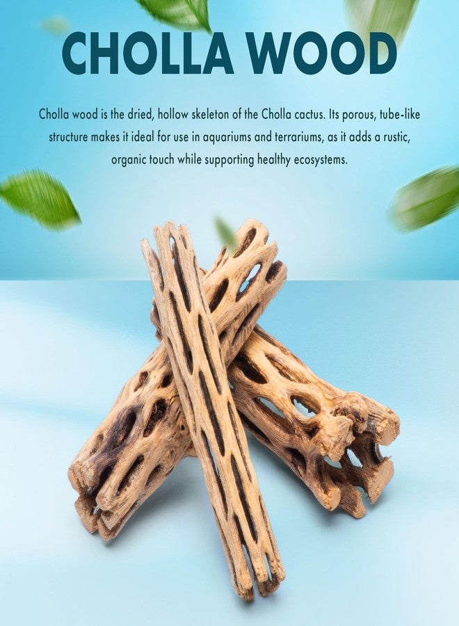 SubstrateSource Natural Cholla Wood - Driftwood for Aquariums, Air Plant Base, Hermit Crab and Freshwater Shrimp Hideout, Fish Tank Decoration, Chinchilla Chews, Reptile Habitat Wood - 6 Inch, 5pc - Image 2