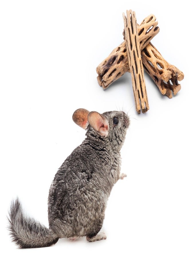 SubstrateSource Natural Cholla Wood - Driftwood for Aquariums, Air Plant Base, Hermit Crab and Freshwater Shrimp Hideout, Fish Tank Decoration, Chinchilla Chews, Reptile Habitat Wood - 6 Inch, 5pc - Image 1