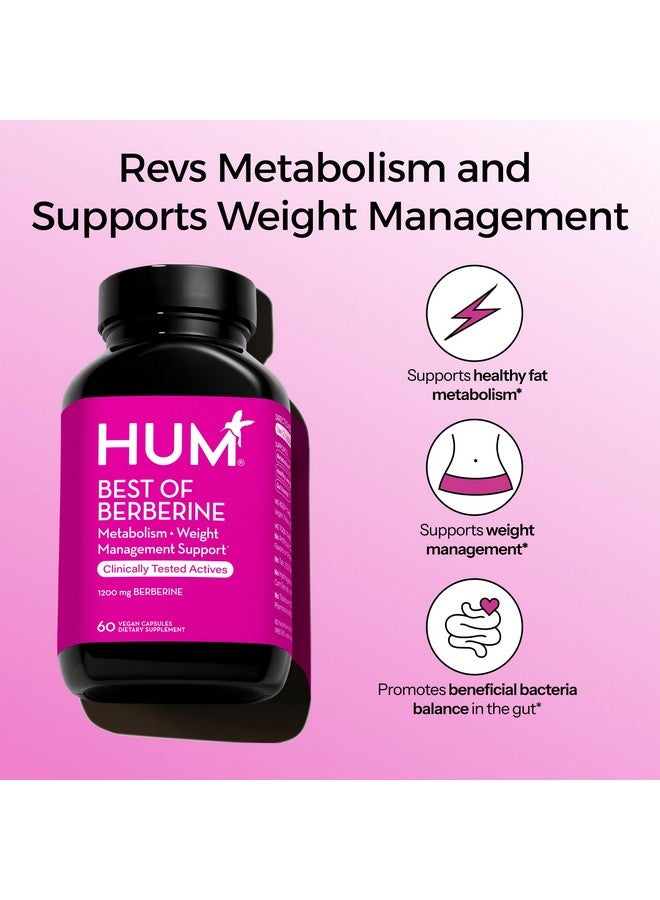 هوم مكمل HUM Best of Berberine بتركيز 1200 ملغ - فعالية نقية لتعزيز صحة الأيض، مُعزز بالبيوبيرين لتحقيق أقصى امتصاص (60 كبسولة) - Image 2