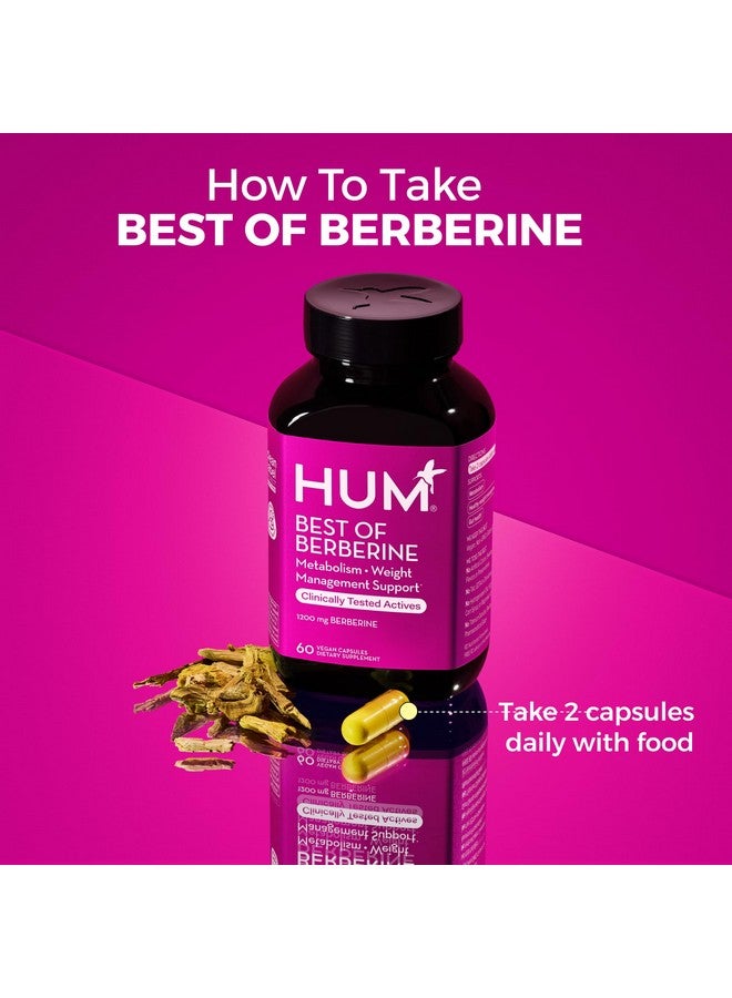 هوم مكمل HUM Best of Berberine بتركيز 1200 ملغ - فعالية نقية لتعزيز صحة الأيض، مُعزز بالبيوبيرين لتحقيق أقصى امتصاص (60 كبسولة) - Image 4