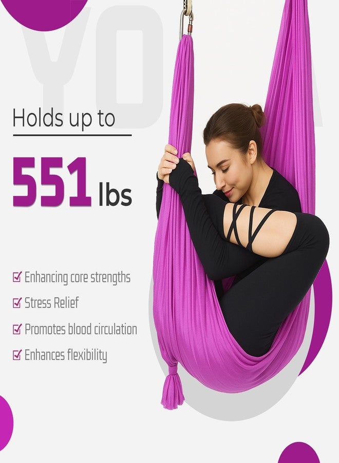 HECASA 6.5 Yards Aerial Silks Yoga Swing Set, Aerial Yoga Hammock w/Daisy Chain for Home, Inversion Exercises, Strength Training and Starter Kit (Violet) - Image 5