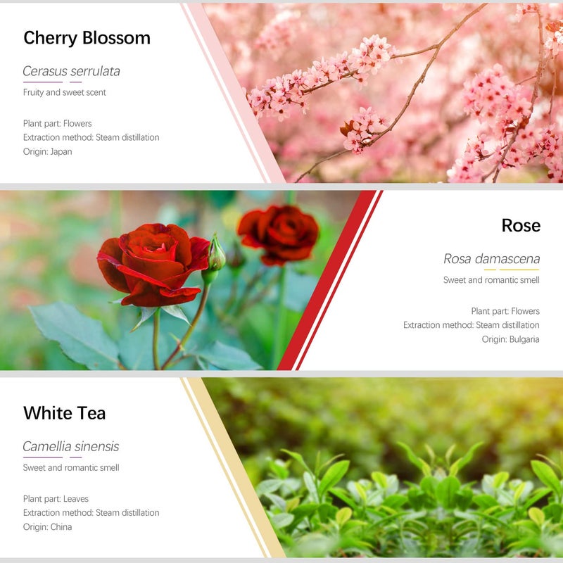 ESSLUX Essential Oils Set, ESSLUX Floral Essential Oils for Diffuser, Massage & Candle Making, Natural & Long-Lasting Scents - Rose, Jasmine, Gardenia, Ylang-Ylang, White Tea, Cherry Blossom, 6 * 10ml - Image 3