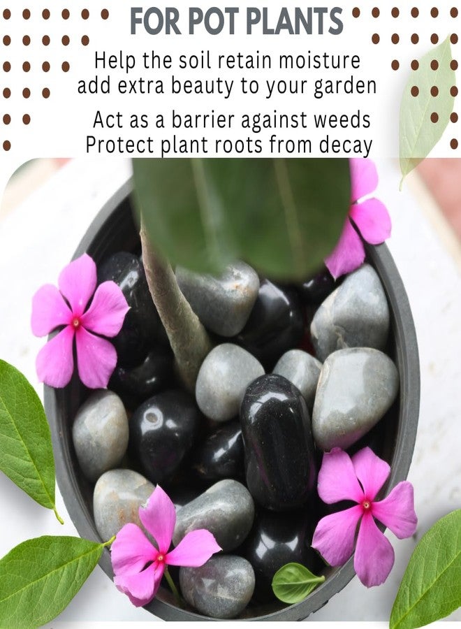 Wowtag Black and Grey Polished Natural Stones, 2-4 CM,1.95 KG, for Plant pots, Aquarium, Garden, Home Decoration, Vase Filler, Craft Work - Image 2