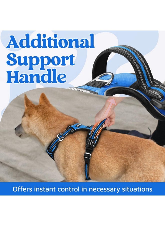 rabbitgoo Dog Harness Medium Sized, No Pull Dog Vest Harness with 3 Buckles, Adjustable Soft Padded Pet Harness with Easy Control Handle and Reflective Strips, Blue, M - pzsku/Z1DEA4B730C96BBC511F3Z/45/_/1737031616/d86baeed-b766-4519-b85e-13416f334561