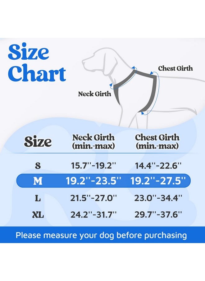 rabbitgoo Dog Harness Medium Sized, No Pull Dog Vest Harness with 3 Buckles, Adjustable Soft Padded Pet Harness with Easy Control Handle and Reflective Strips, Blue, M - pzsku/Z1DEA4B730C96BBC511F3Z/45/_/1737031627/0f7eb009-a882-4d62-a120-248b611ae608