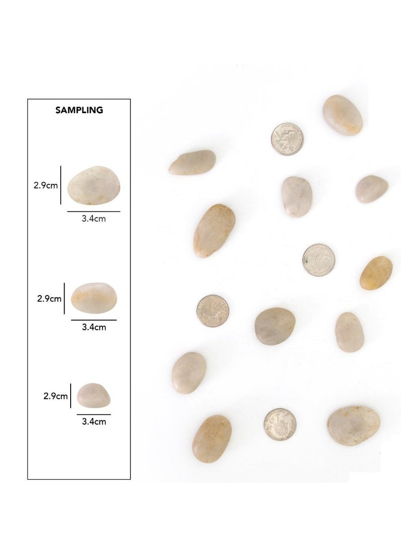 HOME ZONE 2.2lb (1 KG)River Rocks Decorative Ornamental Pebbles, Garden Landscaping Stones, Gravel Filler for Plants, Vases, Succulents, Home Decor, Aquariums, Crafting, Animal Habitat - Large Light - Image 5