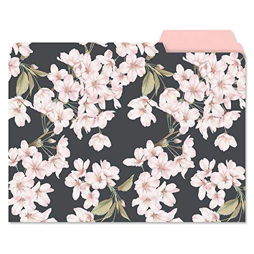 Current Charcoal & Coral File Folders Value Pack - Bulk Set of 24, 6 Pretty Decorative Designs, 1/3 Cut Tabs, Heavy-Duty Paper Stock, Office Supplies for Home & Work, 9-½” x 11-¾” Letter Size - Image 5