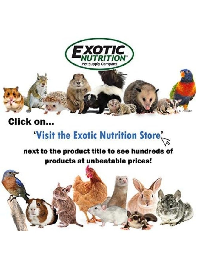 EXOTIC NUTRITION Exotic Nutrition Dried Black Soldier Fly Larvae 1.5 oz.  - Image 4