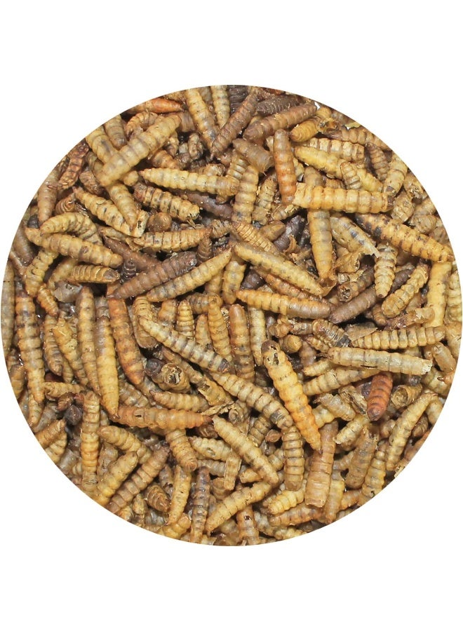 EXOTIC NUTRITION Exotic Nutrition Dried Black Soldier Fly Larvae 1.5 oz.  - Image 2