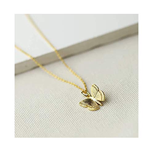 Baydurcan Butterfly Necklace for Women Butterfly Gifts Pendant Chain Necklace with Message Card (butterfly) - Image 4