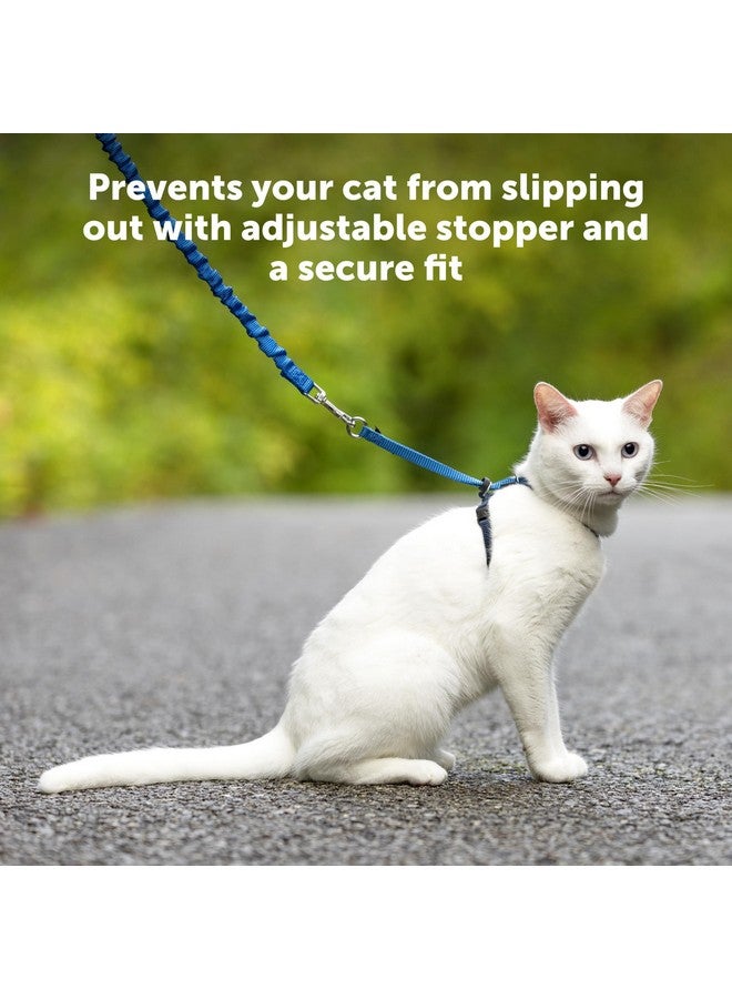 بيت سيف حزام ومقود مطاطي للقطط من PetSafe Come with Me، مقاس متوسط، أسود - Image 4