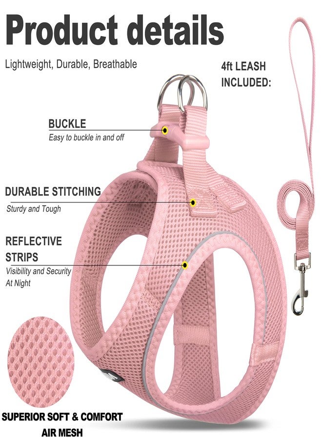 Fida Comfy Dog Harness with Leash, Soft Puppy Vest Escape Proof, Breathable Lightweight Soft Mesh, Adjustable Reflective Step-in Harness for Extra-Small Dogs (XS, Pink) - Image 2