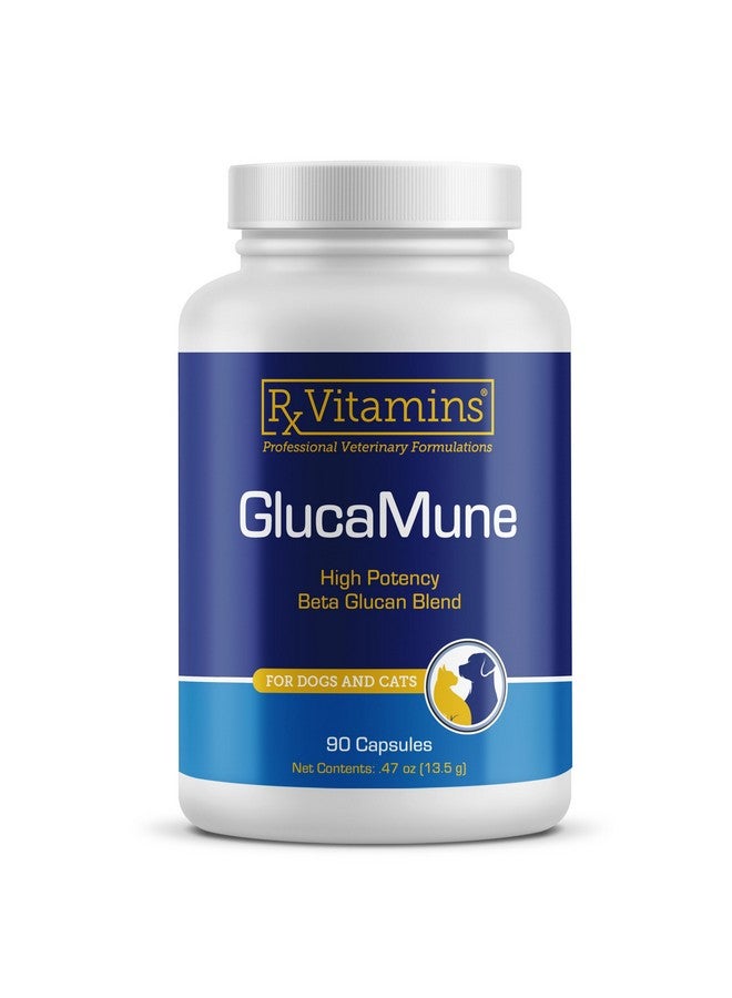ركس فيتامينز فيتامينات Rx GlucaMune - مكمل غذائي لدعم مناعة الكلاب والقطط مع بيتا جلوكان - فيتامينات يومية للقطط المنزلية - يساعد في العناية بالجروح لدى القطط والكلاب، ويعزز صحة الأمعاء - 90 قرصًا - Image 1