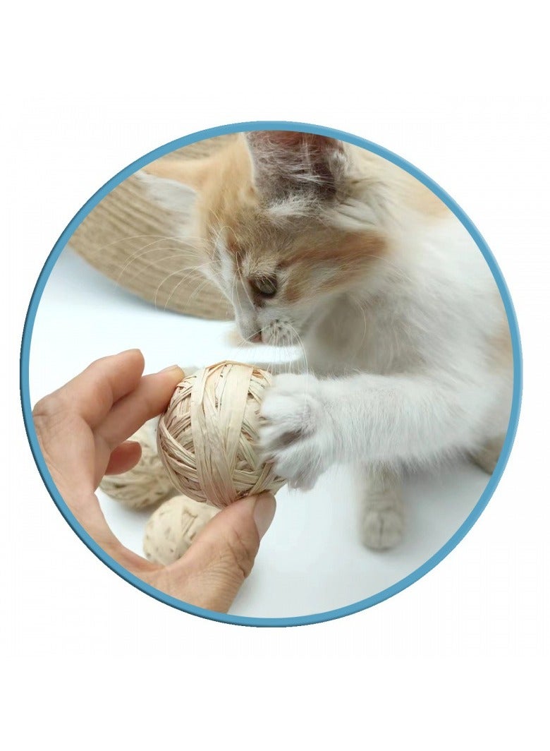 Goolsky Cats' Beloved Catnip & Raffia Grass Cat Toy Ball – Teeth-grinding, Hairball-expelling, Self-entertaining Gadget (4PC) - Image 3