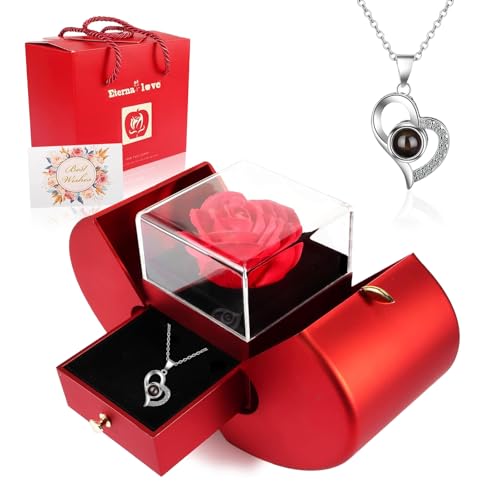 MACREATIVE Preserved Rose Apple Jewelry Gift Box with I Love You Necklace in 100 Languages Eternal Flower Gifts for Women Mom Wife Girlfriend on Birthday Anniversary Graduation - Image 1