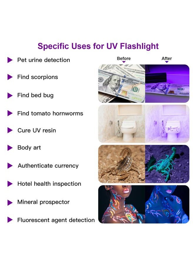 COSOOS 2 Pack UV Flashlight, 12 LED Handheld Blacklight Flashlight 395nm Mini Light Torch Detector for Dog Pet Urine Stains, Bed Bugs and Scorpions. (Batteries not Included) - Image 2