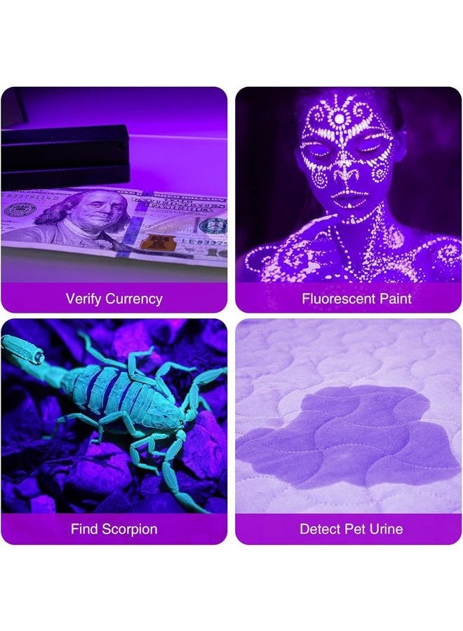 COSOOS 2 Pack UV Flashlight, 12 LED Handheld Blacklight Flashlight 395nm Mini Light Torch Detector for Dog Pet Urine Stains, Bed Bugs and Scorpions. (Batteries not Included) - Image 4