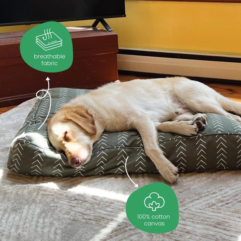 Molly Mutt Medium to Large Dog Bed Cover- Forever Young Print - Measures 27â€X36â€X5â€™â€™ - 100% Cotton - Durable - Breathable - Sustainable - Machine Washable Dog Bed Cover (Dd82b) - Image 4