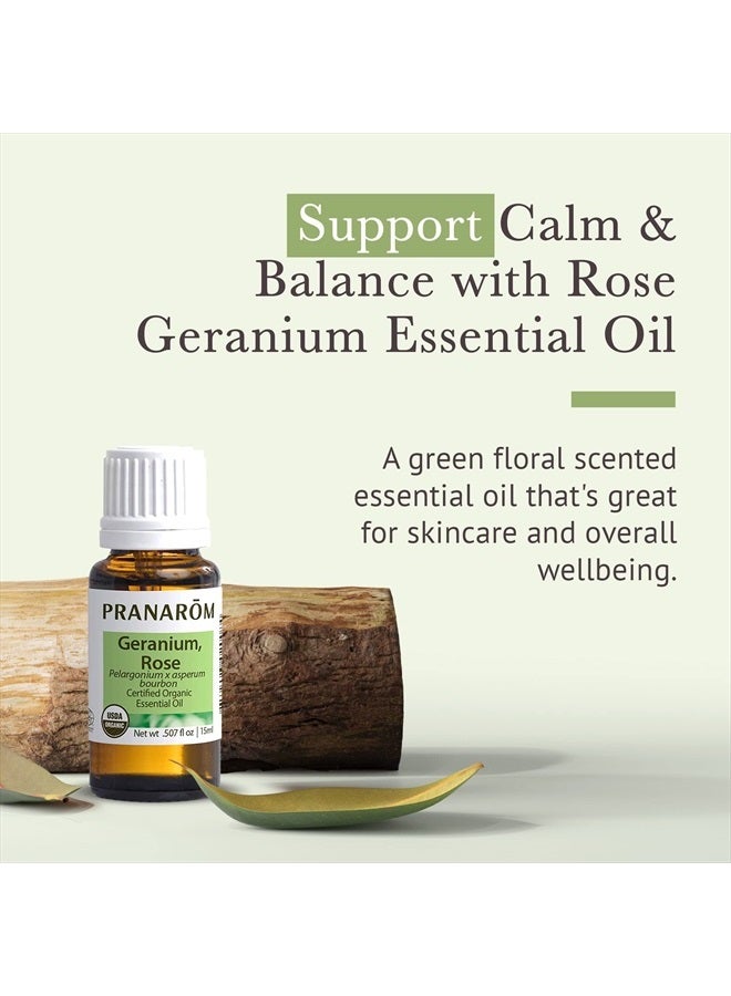 PRANAROM Rose Geranium Essential Oil (15ml) - 100% Pure Natural Therapeutic Grade Essential Oil for Aromatherapy and Skincare | USDA and ECOCERT Certified Organic - Image 2