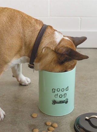 Dog Biscuits Tin with Lid, Good Dog Design - pzsku/Z1DF60EB7F9B702BDC087Z/45/_/1687635707/cd445964-18d2-4b52-9444-401a0c5c1236
