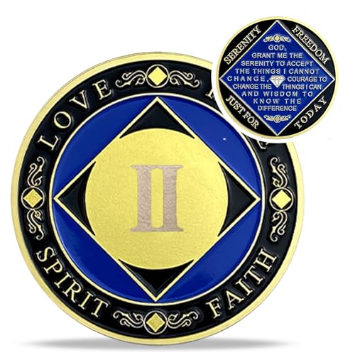 IELCJJ 2 Year NA Medallions - Recovery Narcotics Anonymous Chips - Two Year Living Clean Sobriety Coin - (Years 1-30) Journey Celebrate Recovery Addicts - Narcotics Anonymous Gifts for Men Women - Image 1