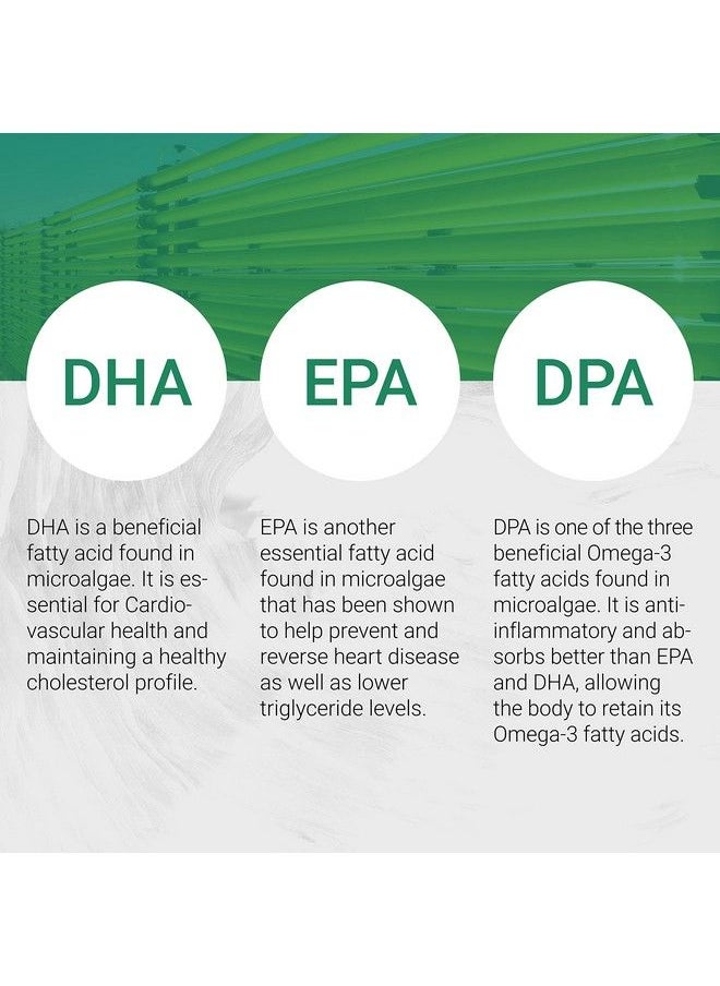 Naturalis - Vegan Omega 3 Dha Epa  Dpa From Algae  Vegan Society Certified Sustainably Sourced True Full Spectrum  120 Veggie Softgels Carrageenan Free - Image 1