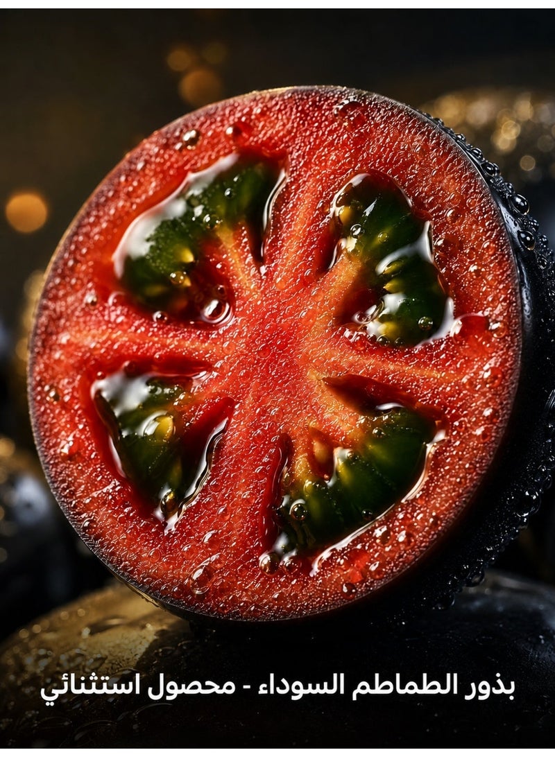 بذور الطماطم السوداء - مظهر داكن فريد ونكهة حلوة، سهلة النمو للحدائق المنزلية والشرفات، غنية بالفيتامينات والبوتاسيوم، دورة نمو قصيرة، مثالية للسلطات والطهي - Image 2