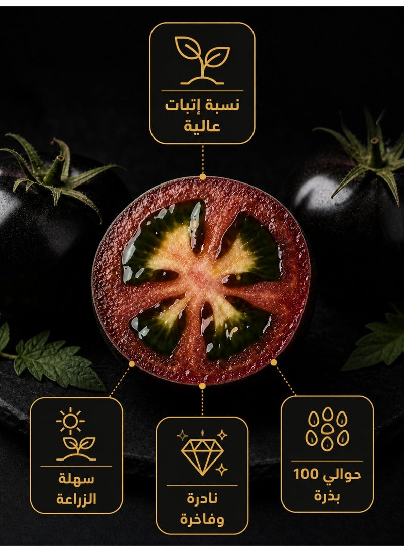 بذور الطماطم السوداء - مظهر داكن فريد ونكهة حلوة، سهلة النمو للحدائق المنزلية والشرفات، غنية بالفيتامينات والبوتاسيوم، دورة نمو قصيرة، مثالية للسلطات والطهي - Image 4