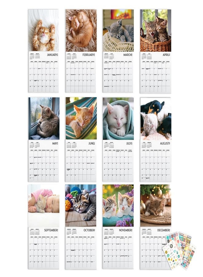 ARTICO Kitten Calendar 2026, Kitten Square Large Wall Calendar 12 x 12 inch, Yearly Cat Lover's Calendar - Image 4