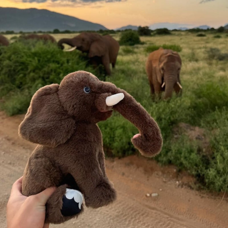 Fahlo Tracking Plush | Includes 12" Plush, Interactive 3D Tracking Map, and Wildlife Conservation Support | Eco-Friendly & Safe for All Ages | (Elephant) - Image 4