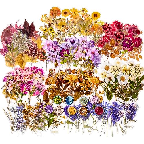 emmoolife 380 Pcs Pressed Flower Sticker Set Dried Flowers Themed Resin Journaling Stickers Floral Natural Botanical Fallen Leaves Decals for Scrapbook Supplies Bullet Junk Journal Bottles Planner Laptops - Image 1