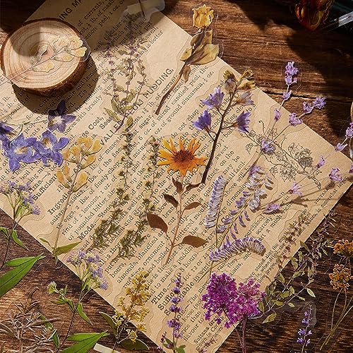 emmoolife 380 Pcs Pressed Flower Sticker Set Dried Flowers Themed Resin Journaling Stickers Floral Natural Botanical Fallen Leaves Decals for Scrapbook Supplies Bullet Junk Journal Bottles Planner Laptops - Image 4