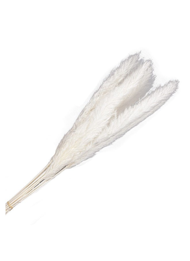 Gulf Flowers Gulf Flowers Pampas Grass Décor –  Natural Dried Pampas Grass for Flower  Arrangement Home Office Room Boho Table Living Room Décor  - Image 2