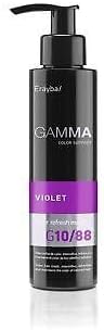 Erayba Color Refresh Hair Mask 1088 Violet