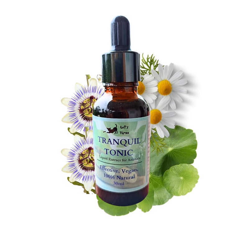 THRIVE - Tranquil Tonic for Dogs & Cats – Natural Herbal Calming Supplement for Stress & Anxiety Relief (50ml) - Image 1