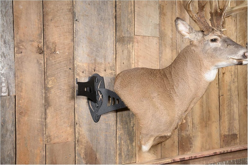 Skull Hooker Small/Medium Game Steel Powder-Coated Dual Shoulder Mount with 8-inch Swing Arm - Image 3