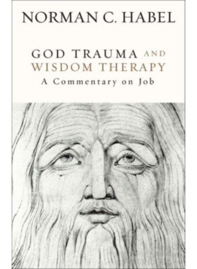 God Trauma and Wisdom Therapy A Commentary on Job - Hardback