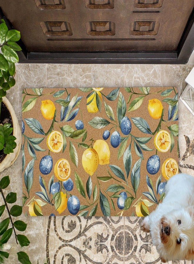 KFXHANGD Mediterranean Lemon Door Mat, Mediterranean Sicilian Lemons Front Door Mat Outside Entrance, Blueberry Lemons Artificial Coir Doormat Rugs for Porch Patio Entry Indoor Entryway, 17x30 Inch - Image 3