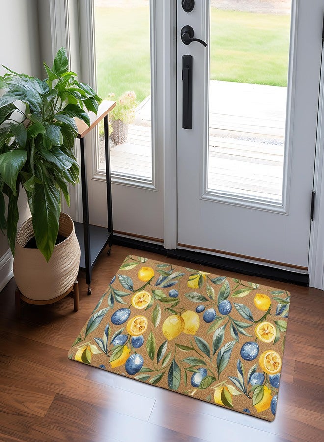 KFXHANGD Mediterranean Lemon Door Mat, Mediterranean Sicilian Lemons Front Door Mat Outside Entrance, Blueberry Lemons Artificial Coir Doormat Rugs for Porch Patio Entry Indoor Entryway, 17x30 Inch - Image 2