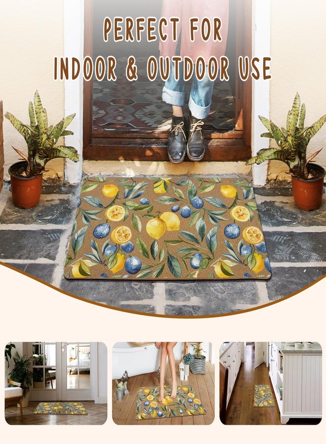 KFXHANGD Mediterranean Lemon Door Mat, Mediterranean Sicilian Lemons Front Door Mat Outside Entrance, Blueberry Lemons Artificial Coir Doormat Rugs for Porch Patio Entry Indoor Entryway, 17x30 Inch - Image 5