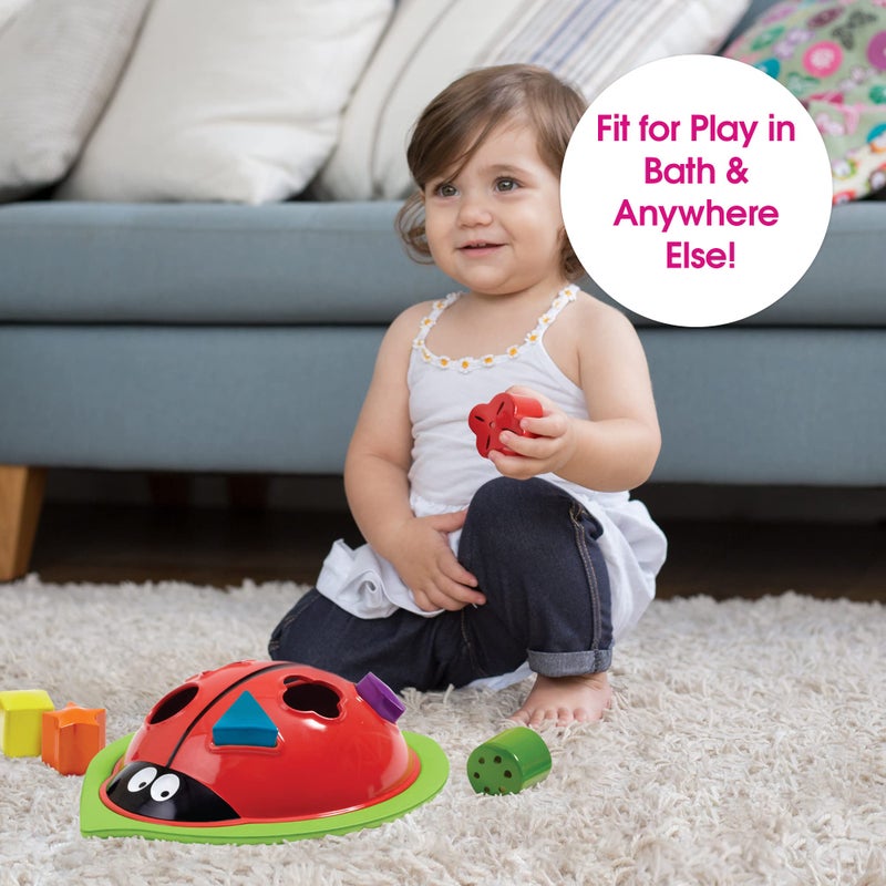 Edushape Ladybug Sorter - Image 5