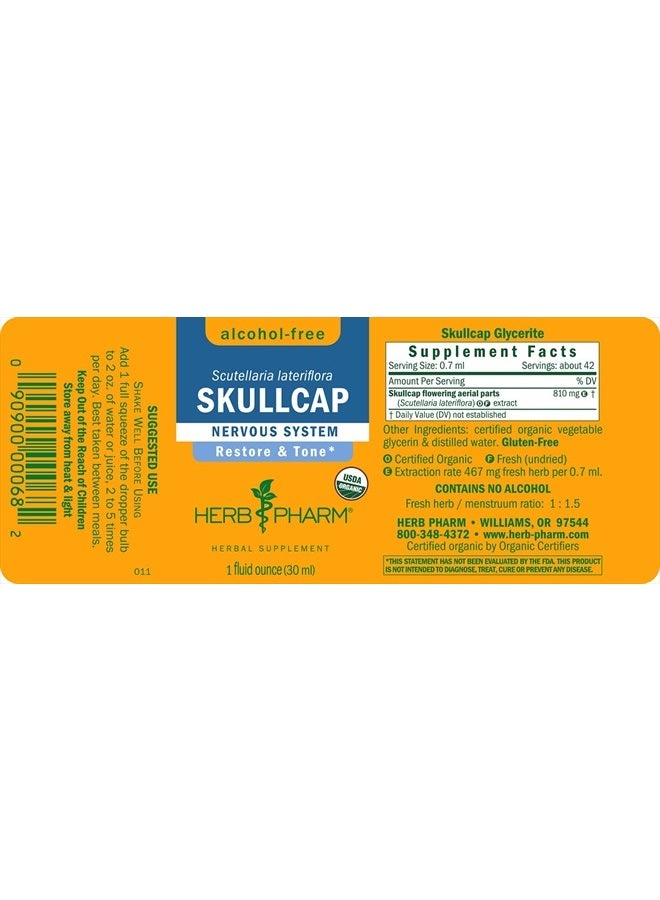 HERB PHARM Certified Organic Skullcap Liquid Extract for Nervous System Support, 1 Fl Oz - Image 2
