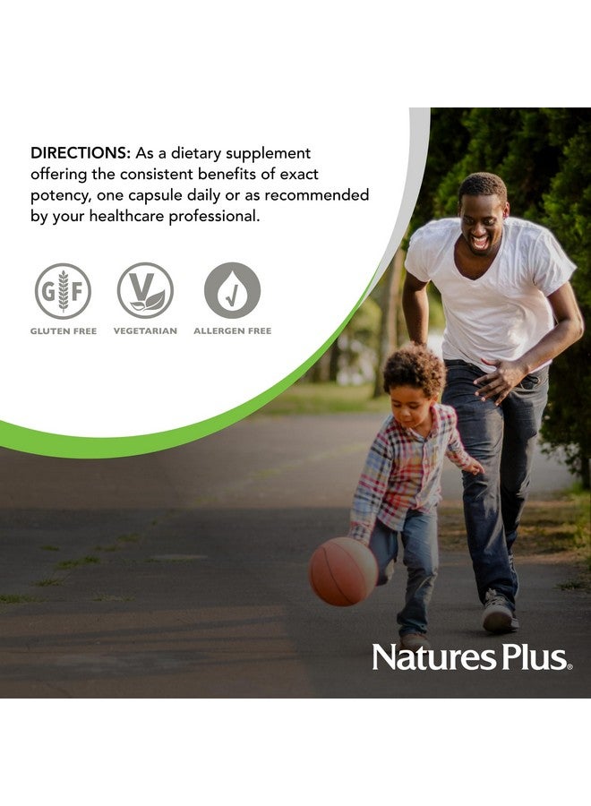 NaturesPlus Natures Plus Herbal Actives Milk Thistle - 250 mg, 80% Silymarin, 60 Vegan Capsules - Vegetarian, Gluten-Free - 60 Servings - Image 5