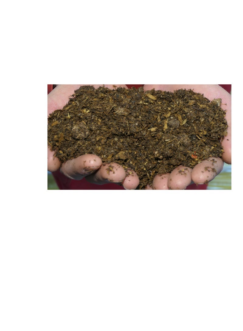 KNP Chicken Manure Organic Fertilizer - Image 3